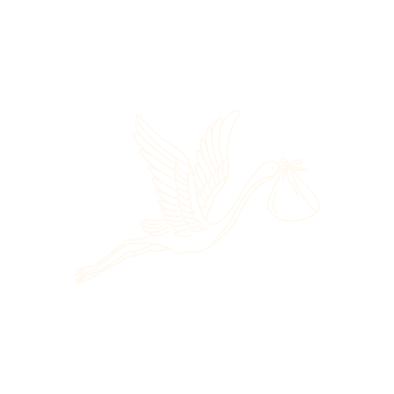 Ari Baby logomark — small Australian muslin baby brand