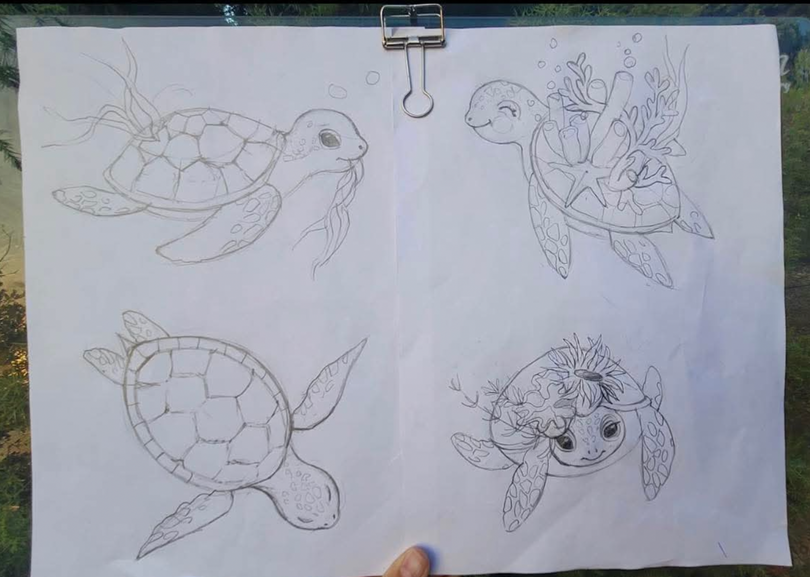 Original Turtle Oceana print sketches — hand-drawn turtle illustrations on paper, designed for Ari Baby muslin